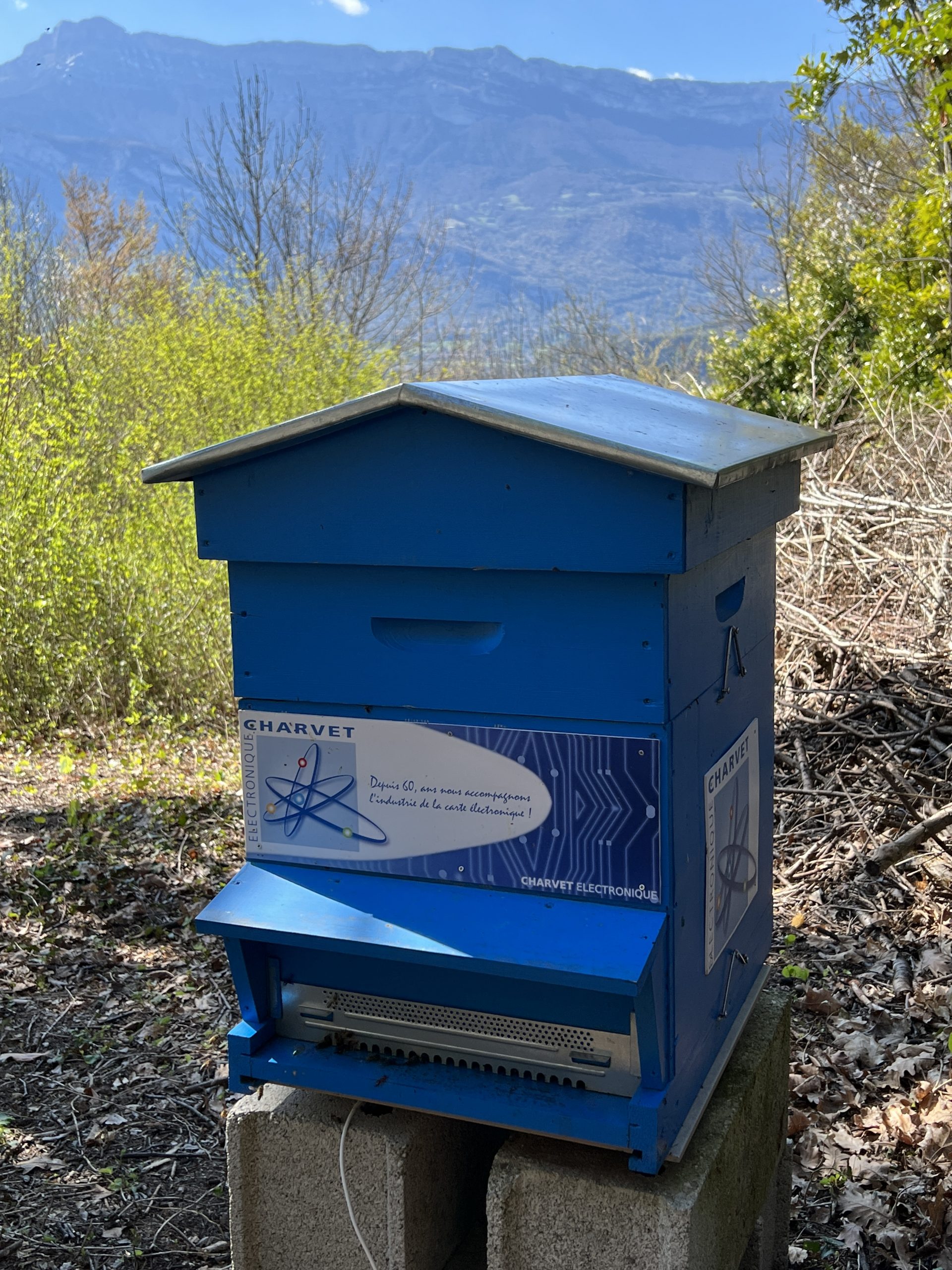 La ruche de Charvet Electronique à Champagnier
